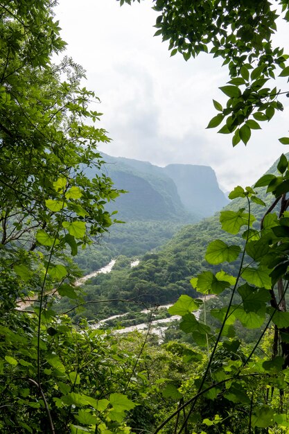 グアダラハラ山脈の山フエンティタン渓谷をフレーミングする木々と木々の緑の植生とメキシコの雲のある空