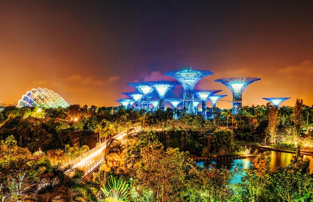 Trees at Gardens by the Bay in Singapore city at night.