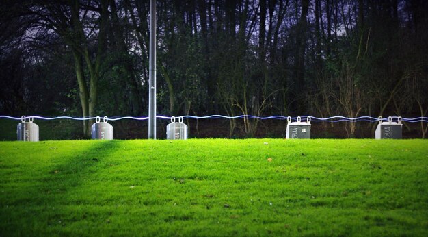 Photo trees on grassy field in park