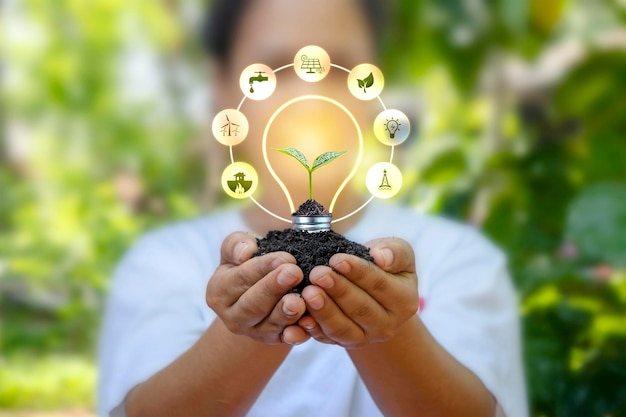 再生可能エネルギーのアイコンである再生可能エネルギーで人々の手の電球の上に木が生えています