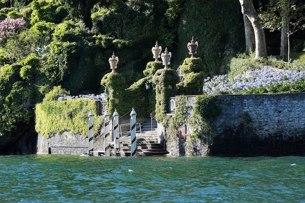 Trees growing by water