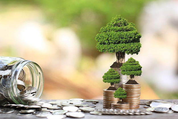 Trees growing on coins money and glass bottle 