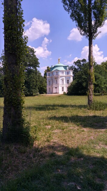 Foto gli alberi che crescono sul campo contro il cielo