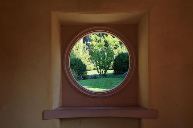 Trees growing on field seen through window