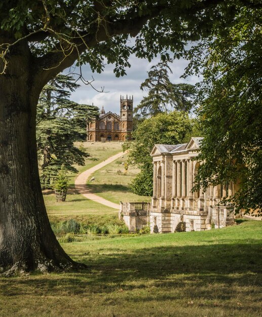 Foto alberi che crescono nel prato dell'edificio