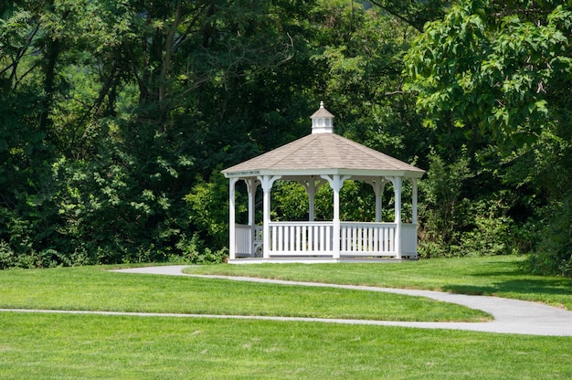 Photo trees growing in lawn