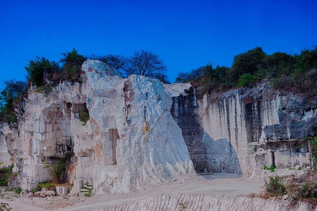 Trees growing on rock against blue sky