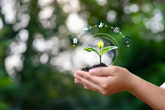 Photo trees growing on soil in human hands and plant growth factors icons and trees earth day concept