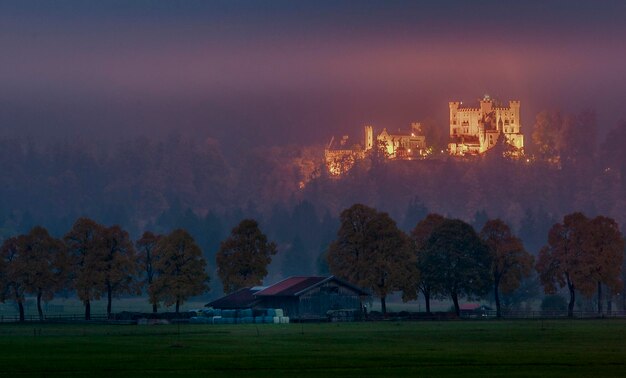 Photo trees and hohen schwangau castle against misty sunset