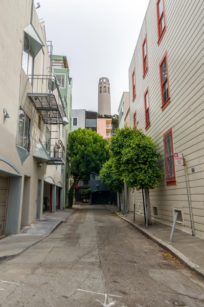 Photo trees and houses against sky in city