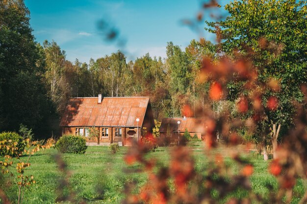 Photo trees and houses