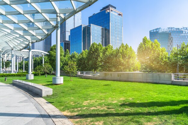 写真 晴れた空を背景に公園の木々