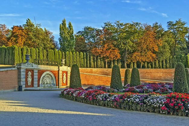 写真 秋の空に照らされた公園の木