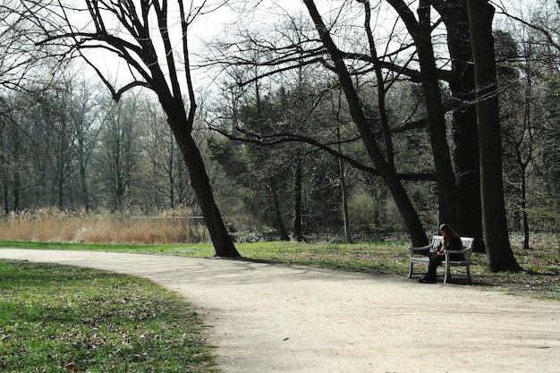 写真 公園の木