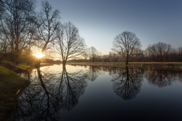 Trees on the lake, spring nature