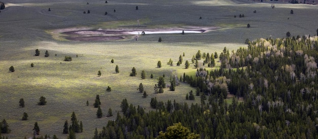 Trees land and mountains in american landscape