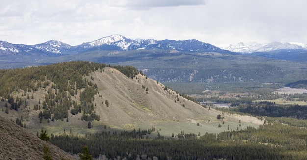 アメリカの風景の中の木の土地と山