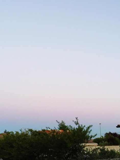 Trees on landscape against clear sky