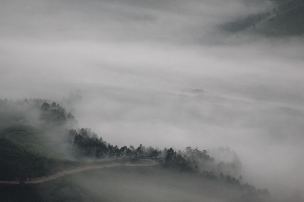Photo trees on landscape against sky during foggy weather