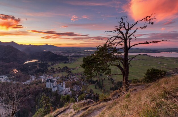 Photo trees on landscape against sky at sunset