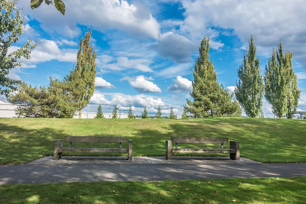 Photo trees on landscape against sky