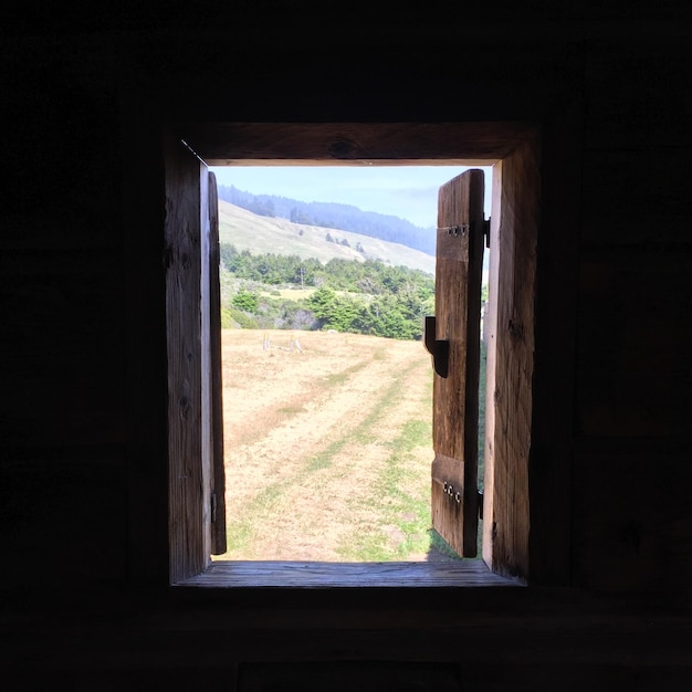 Photo trees on landscape seen through house window