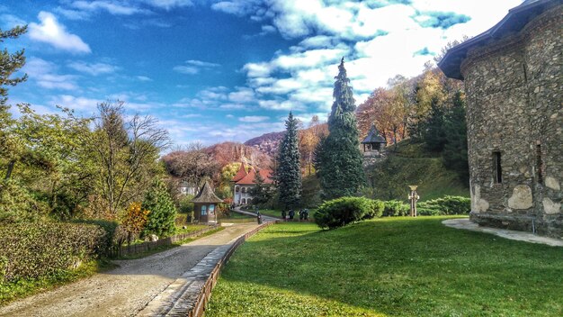 Trees and lawn against sky