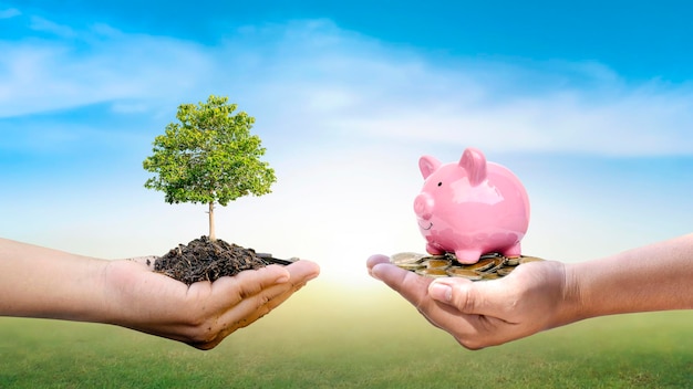 Trees and money in human hands and blurry green nature background Ecofriendly investment concept