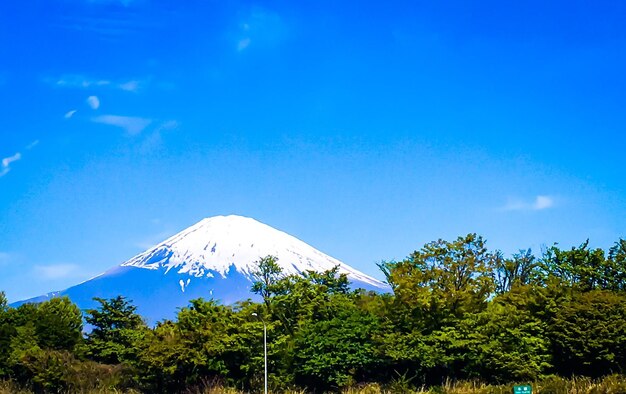 Trees on mountain against blue sky