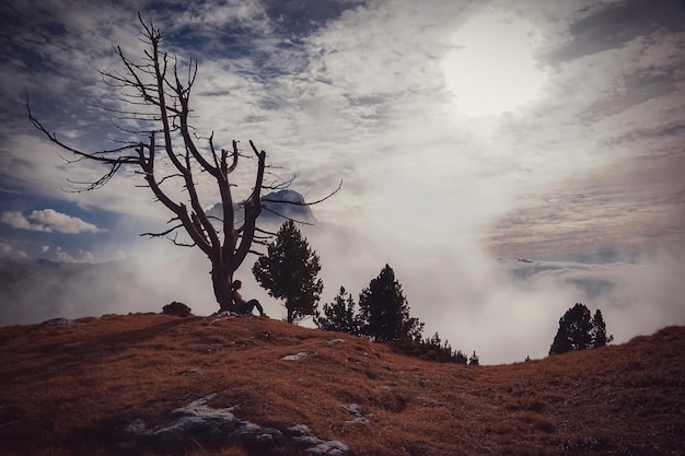 Photo trees on mountain against sky