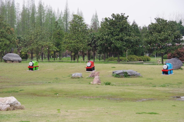 写真 田舎の風景の木々