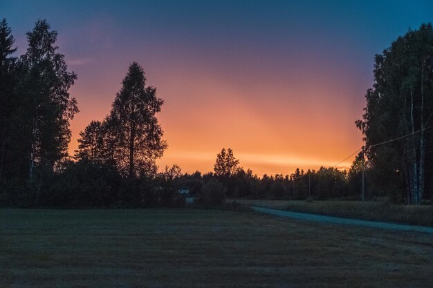 写真 夕暮れの空に照らされた畑の木々