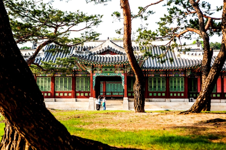 Photo 데오크 밖의 나무