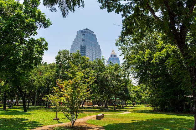 Trees in park against buildings in city