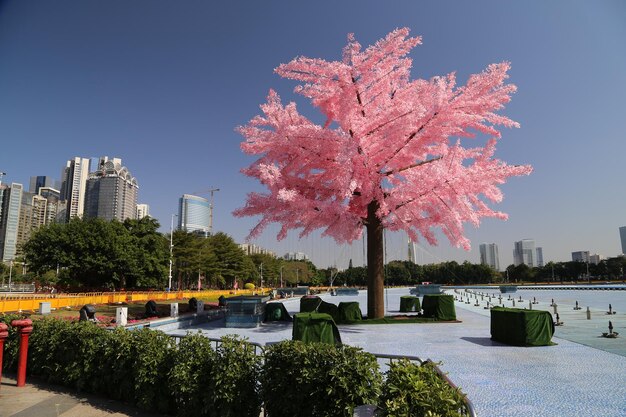 Photo trees in park against clear sky