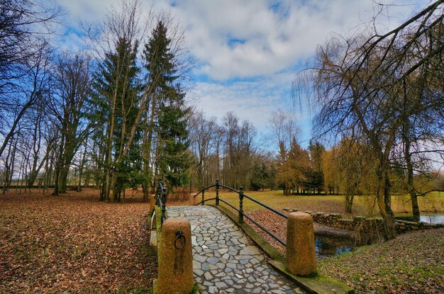 Trees in park against sky during autumn