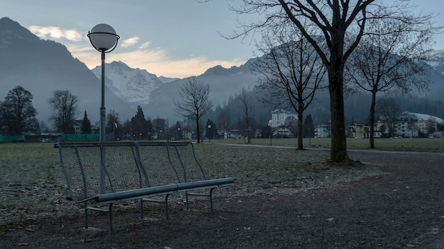 Photo trees in park against sky