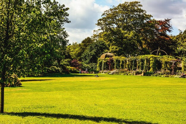 Photo trees in park against sky