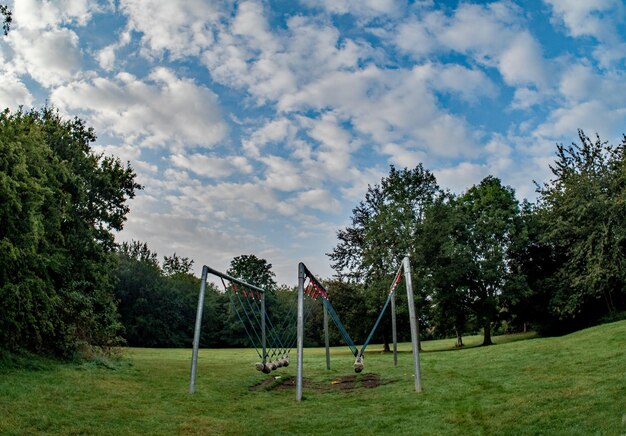 Foto alberi nel parco contro il cielo