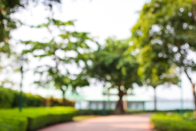 Photo trees in park against sky