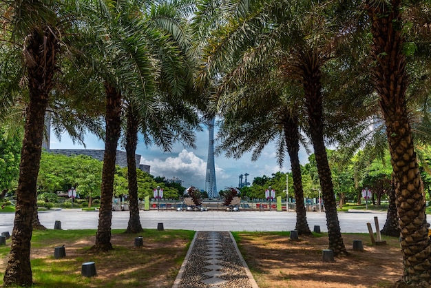 Foto alberi nel parco contro il cielo