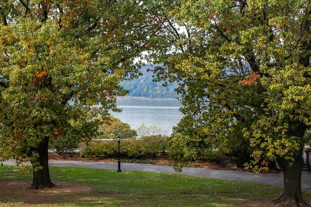 Photo trees in park during autumn