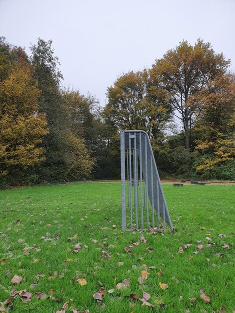 Trees in park during autumn