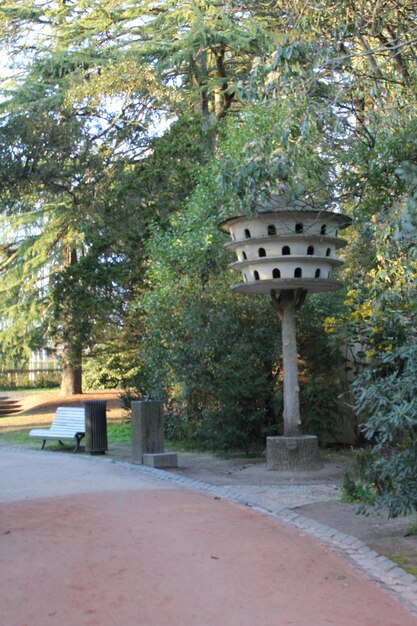 Foto alberi nel parco