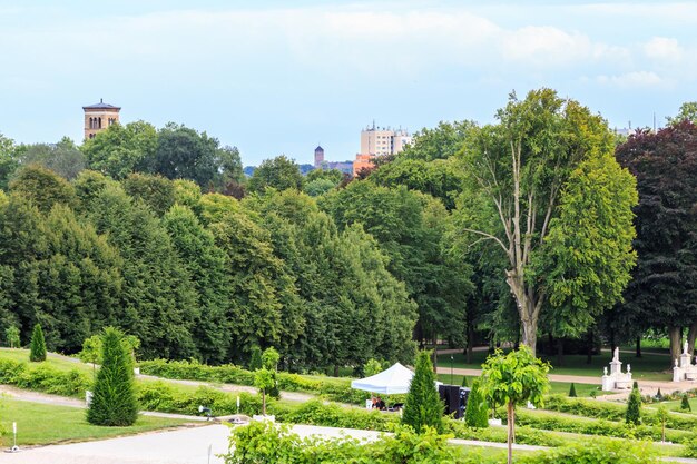 空に照らされた公園の木や植物