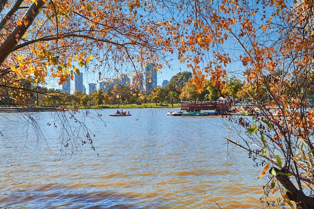 Trees and pond in the city park