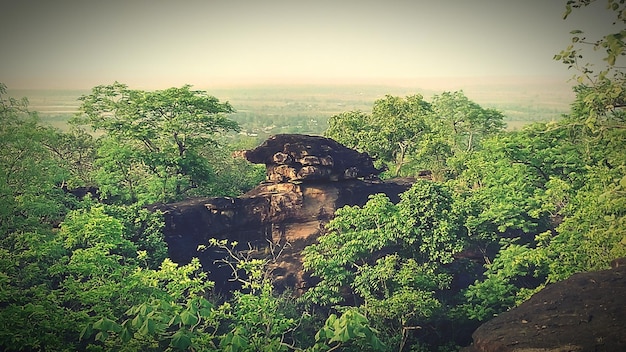 Photo trees and rock formations against sky