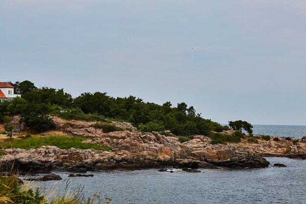 The trees, rocks and the ocean in Rocky island