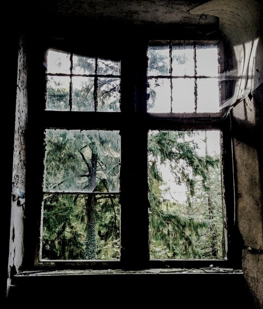 Foto alberi visti dalla finestra di una casa abbandonata