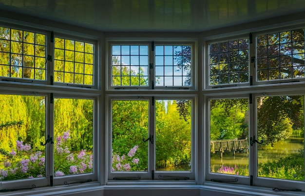 Trees seen from window